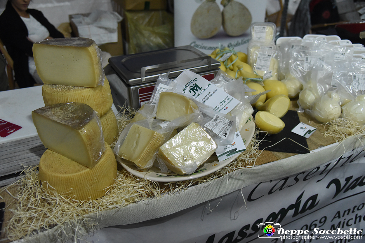 VBS_2750 - Cheese 2023 - Bra.jpg